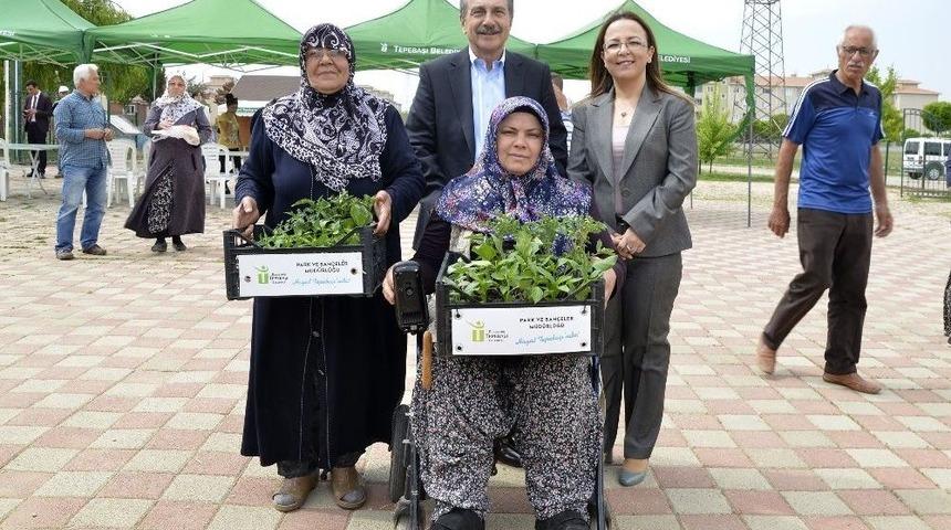 Hobi Bahçelerinde Fide Dağıtıldı