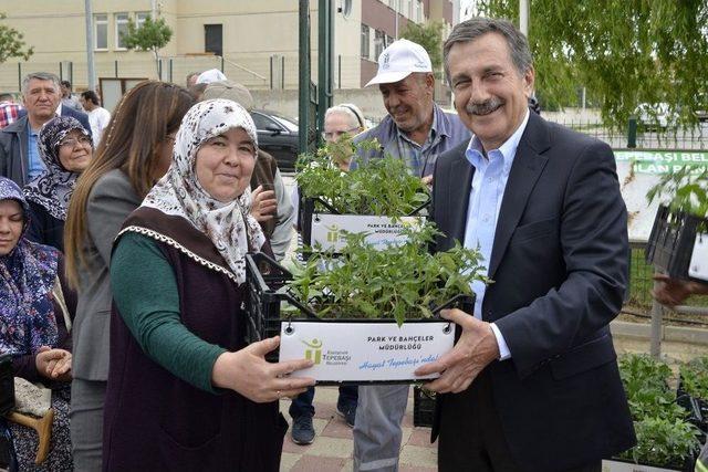 Hobi Bahçelerinde Fide Dağıtıldı