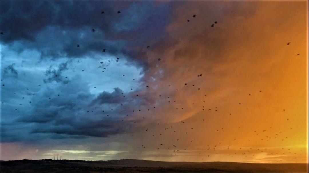 Tekirdağ Semalarındaki G&ouml;r&uuml;nt&uuml;y&uuml; G&ouml;renler Cep Telefonuna Sarıldı