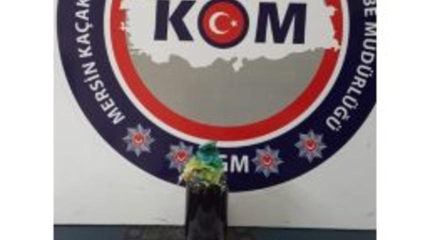 Mersin’de 1 Litre ’ulusal Marker’ Ele Geçirildi