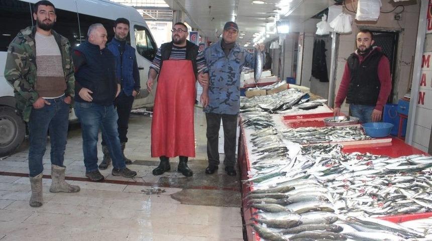 Tavşanlı&rsquo;da Balık Fiyatları D&uuml;şt&uuml;