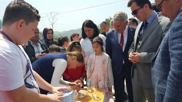 Fatih Anaokulu’nun Yıl Sonu Sergisi Coşkulu Geçti