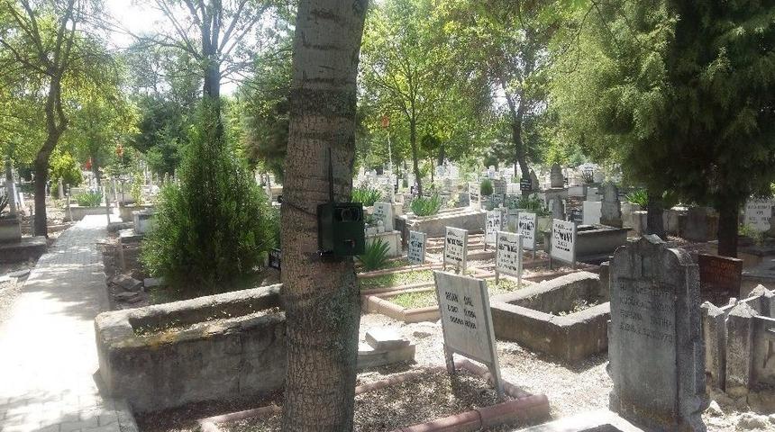 Gizemli Kız İçin Fotokapan Kuruldu