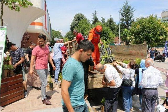 Düzceli Vatandaşlara Fidan Dağıtıldı