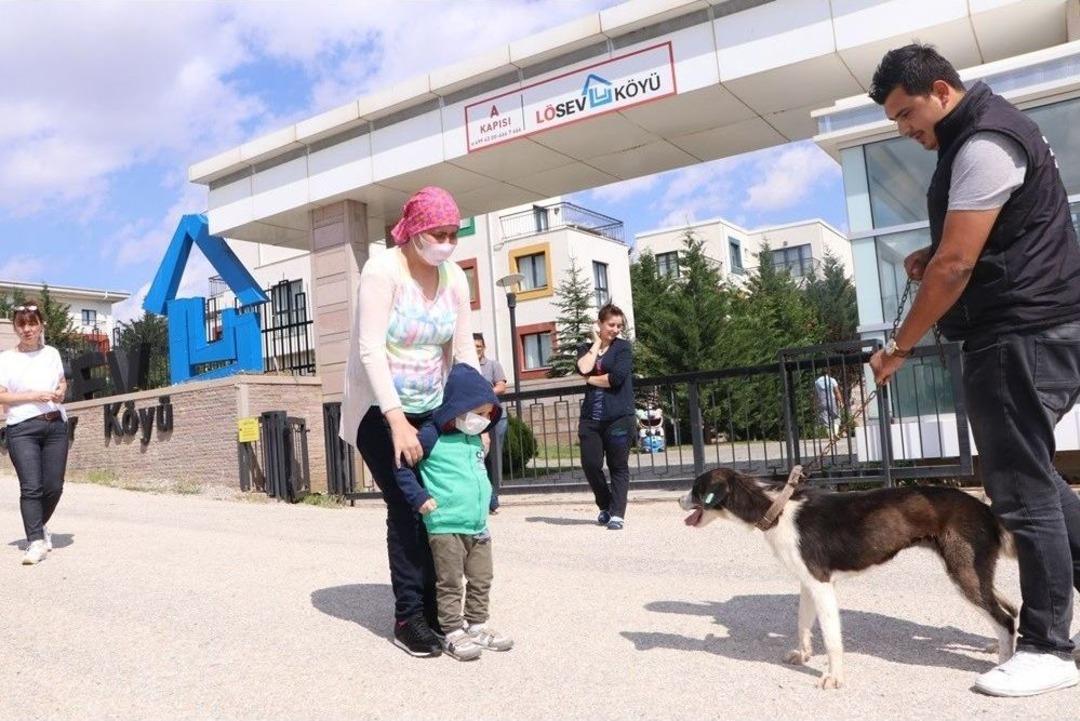 L&ouml;semili &Ccedil;ocuklar K&ouml;peklerine Yeniden Kavuştu