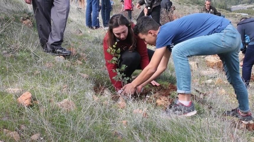 Şehitler Anısına Fidan Diktiler