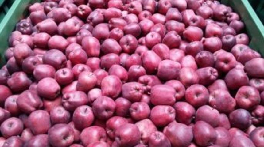 Eğirdir&rsquo;den Afrin&rsquo;deki Mehmet&ccedil;iğe Elma