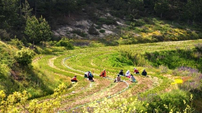 K&uuml;tahya&rsquo;ya Yeni Bir Orman Fidanlığı Daha