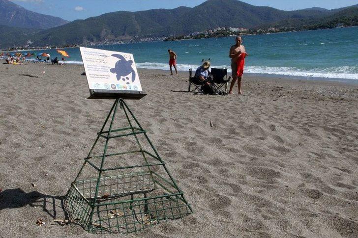 Fethiye’de Yavru Caretta Carettaların Denize Yolculuğu Başladı G2