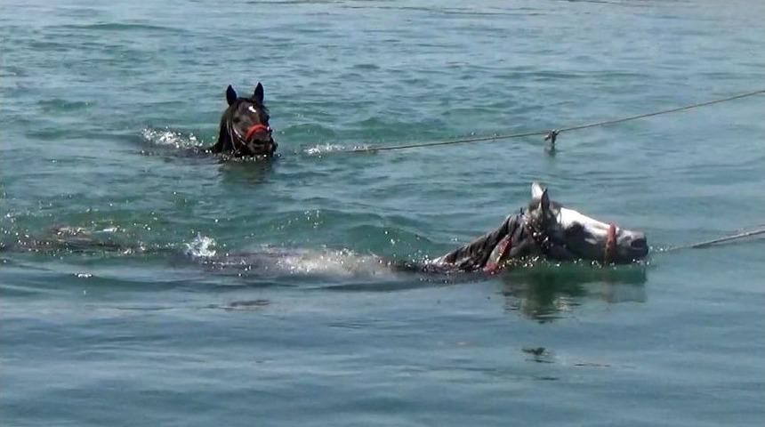 Sıcaktan Bunalan Atlarını Fırat&rsquo;ta Serinlettiler