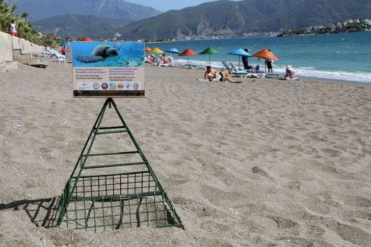 Fethiye’de Yavru Caretta Carettaların Denize Yolculuğu Başladı G3