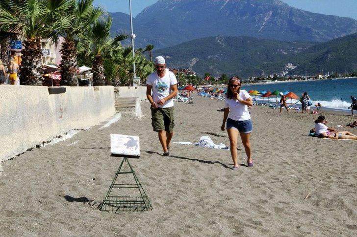Fethiye’de Yavru Caretta Carettaların Denize Yolculuğu Başladı G4