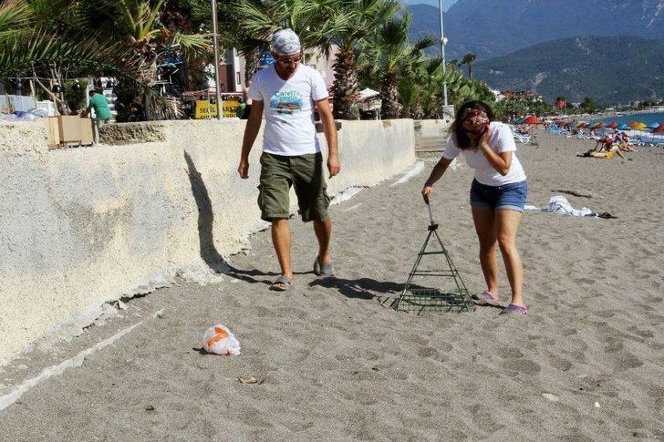Fethiye’de Yavru Caretta Carettaların Denize Yolculuğu Başladı G5