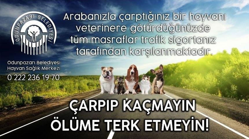 Aracın &Ccedil;arptığı K&ouml;peğe Kısa S&uuml;re İ&ccedil;erisinde Yardım Eli Uzandı
