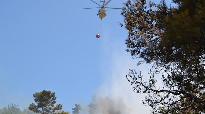 Bozyazı’da Orman Yangını