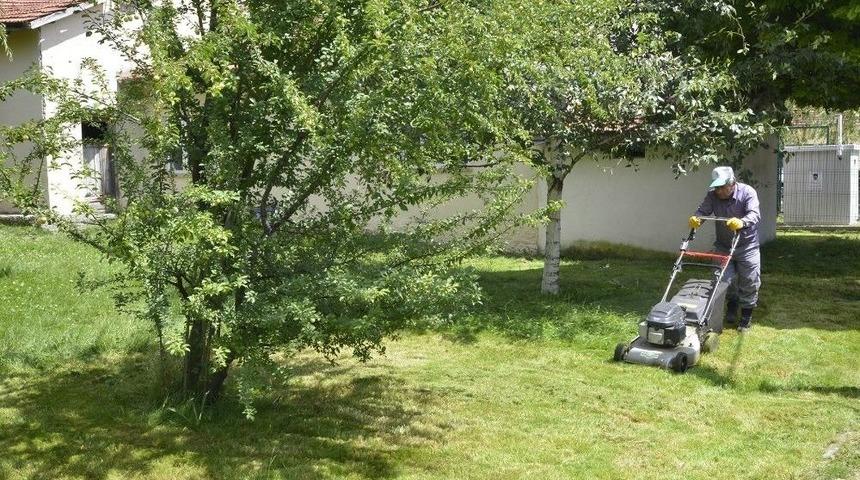 Parklarda Bakım Çalışmaları