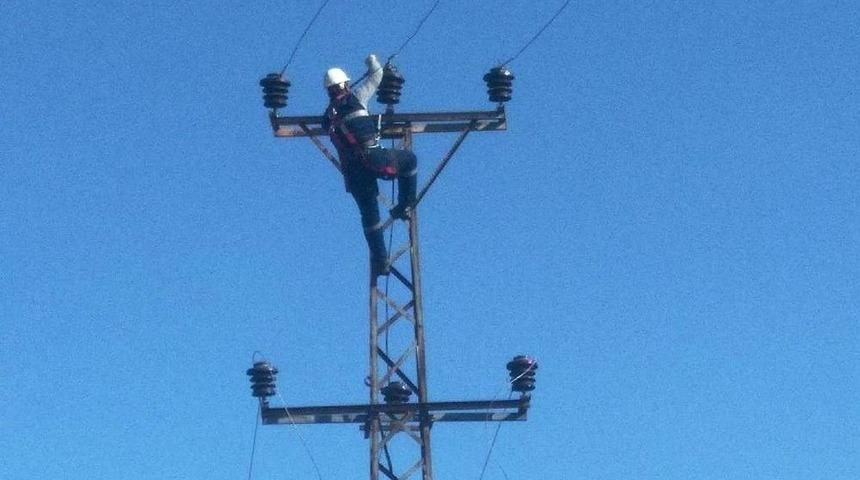 Dicle Kararlı, Borcunu &Ouml;demeyenin Elektriği Kesiliyor