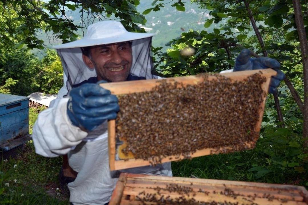Ordulu Arıcının Bal Heyecanı