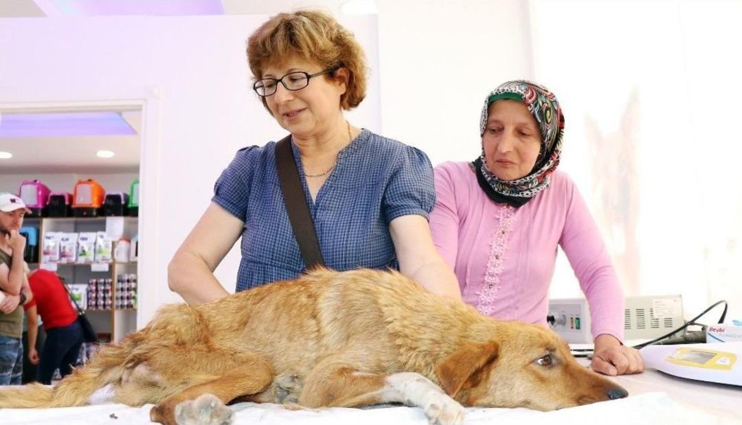 Yaralı Halde Bulduğu K&ouml;peği Tarım Aracıyla 30 Kilometreden Tedaviye Getirdi