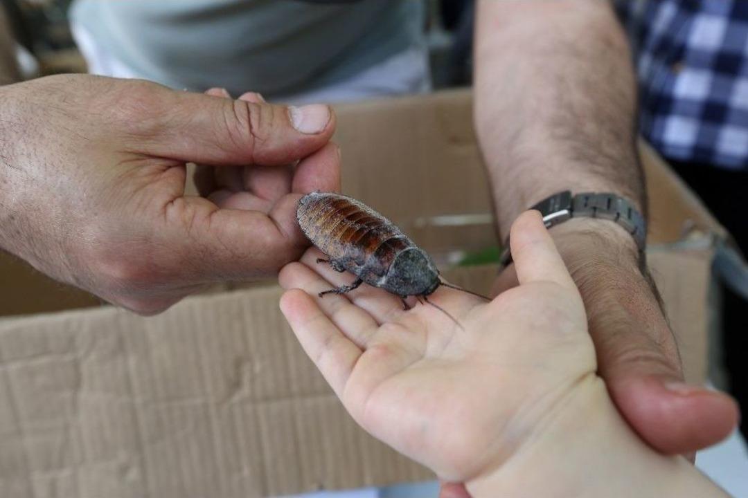 Yenimahalleli Gen&ccedil;ler Bilim Şenliğinde