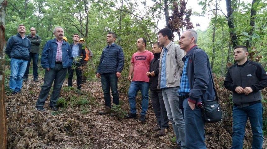 İneg&ouml;l&rsquo;de Silvik&uuml;lt&uuml;r &Ccedil;alışmaları Denetlendi