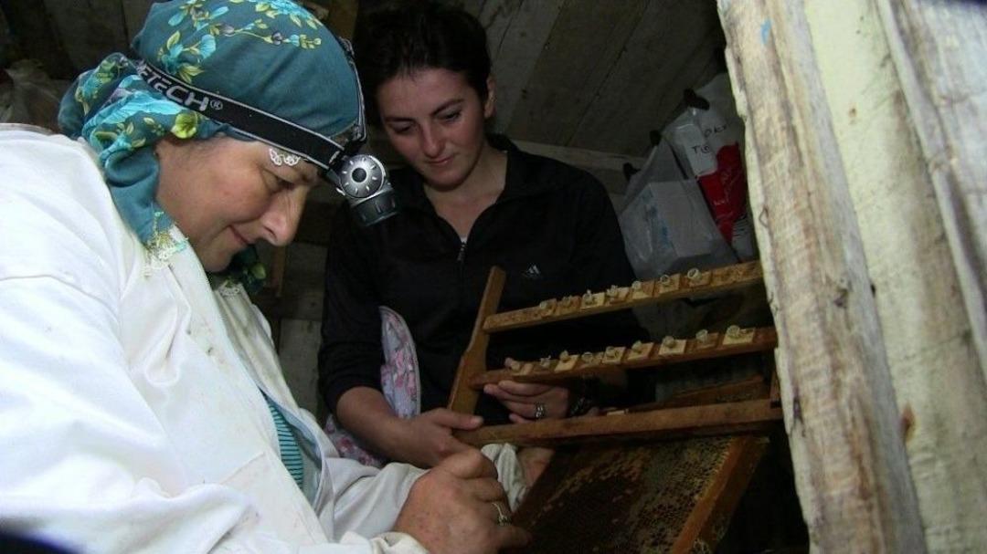 Sınırın Sıfır Noktasında Bal &Uuml;retiyorlar