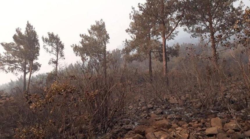 Amanoslardaki Yangında Soğutma &Ccedil;alışmaları S&uuml;r&uuml;yor