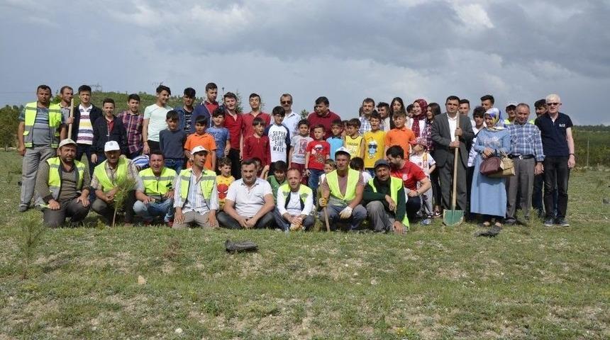 Emet&rsquo;te Afrin Şehitleri İ&ccedil;in Hatıra Ormanı Oluşturuldu