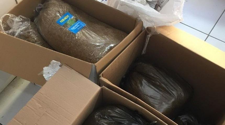 Uşak’ta Kaçak Tütün Operasyonu