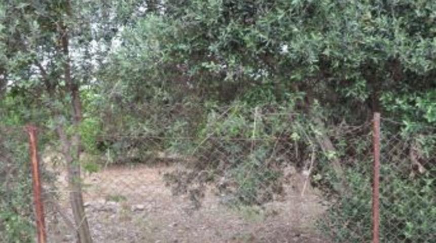 Hatay&rsquo;da Bir Kişi Silahla Vurularak &Ouml;ld&uuml;r&uuml;lm&uuml;ş Halde Bulundu