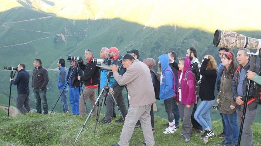 14. Dağ Horozu Şenliği Horozsuz Yapıldı