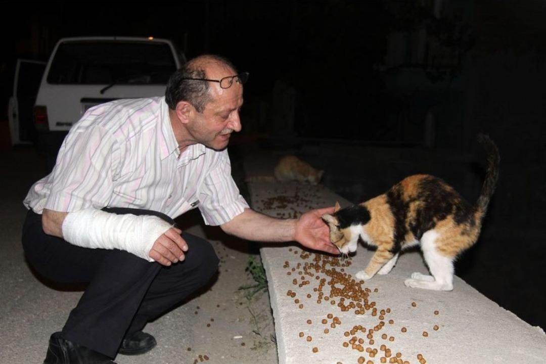 Aylık 2 Bin Tl Vererek Sokak Hayvanlarını Besleyen Adama Meydan Dayağı