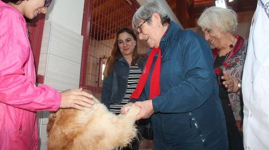 Karatay: "kısırlaştırmaya Karşı Değilim, Tecav&uuml;zc&uuml;leri Kısırlaştırın"