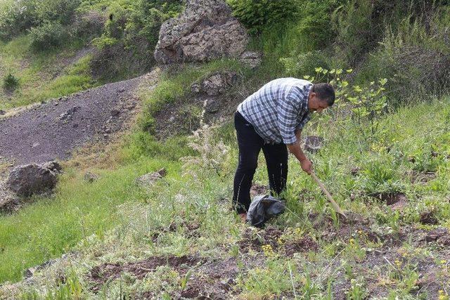 Toplanması Yasak Olan 6 Kilo Salep Soğanına 48 Bin 625 Lira Ceza