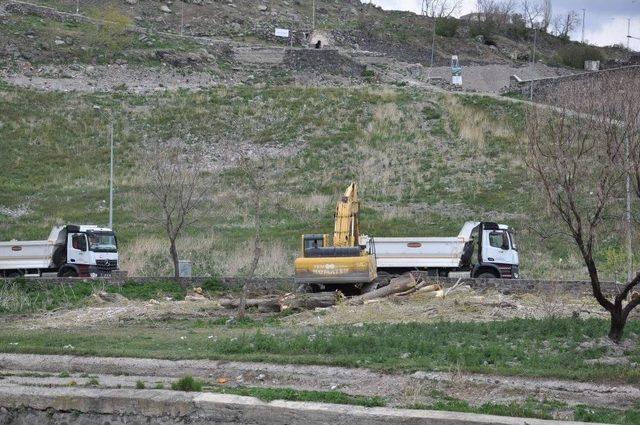 Polen Üreten Ağaçlar Kesildi, Kars Kalesi’nin Önü Açıldı