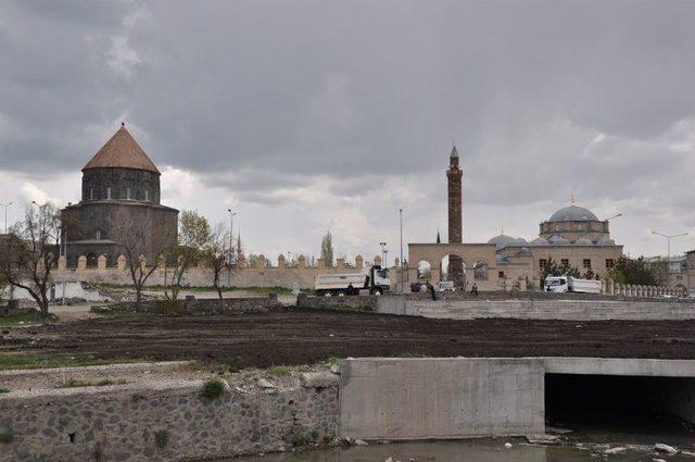 Polen Üreten Ağaçlar Kesildi, Kars Kalesi’nin Önü Açıldı