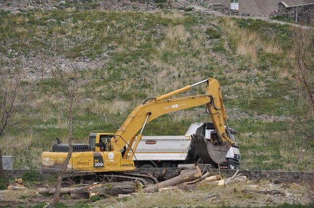 Polen Üreten Ağaçlar Kesildi, Kars Kalesi’nin Önü Açıldı