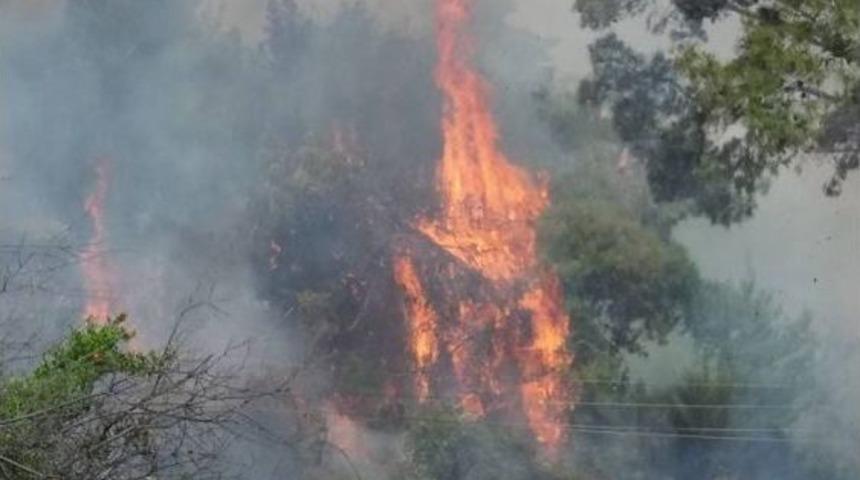 Antalya&rsquo;da D&uuml;nyaca &Uuml;nl&uuml; Şelalenin Yakınında &Ccedil;ıkan Orman Yangını S&ouml;nd&uuml;r&uuml;ld&uuml;