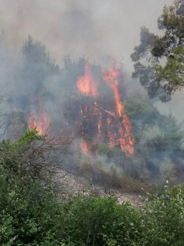 Antalya’da Dünyaca Ünlü Şelalenin Yakınında Çıkan Orman Yangını Söndürüldü