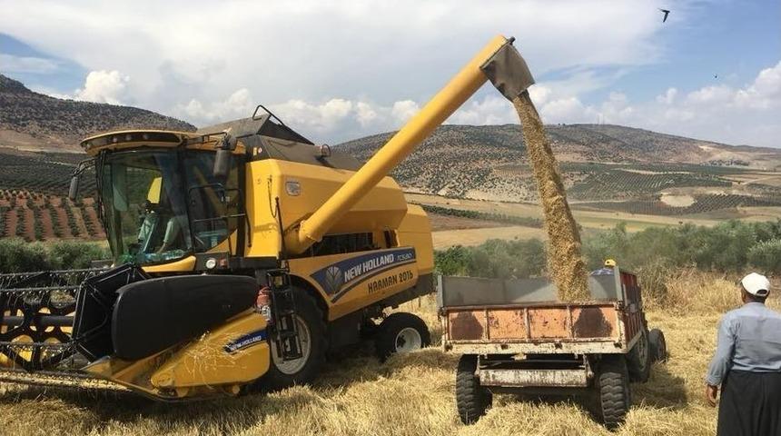 Kilis&rsquo;te Hububat Hasadı Sona Erdi