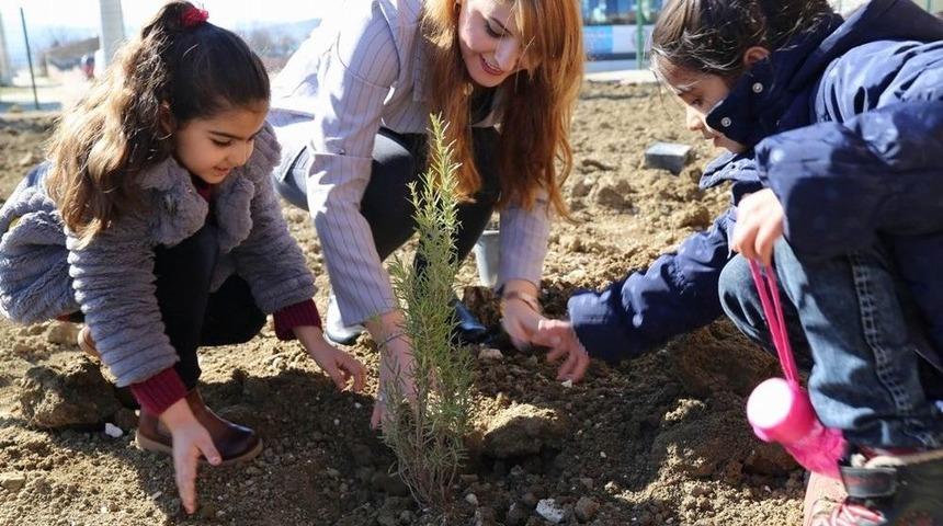 Kayyum Park Yaptı, &Ccedil;ocuklar Ağa&ccedil; Dikti