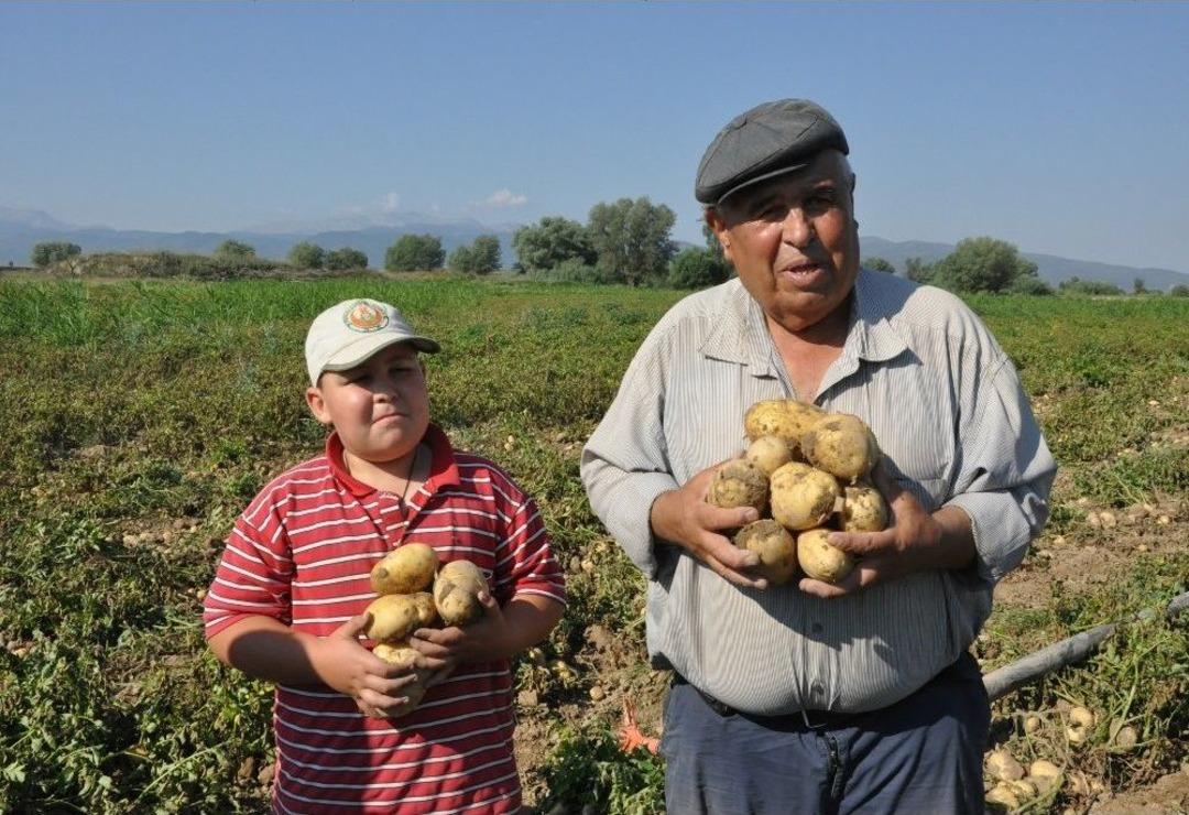 Sandıklı&rsquo;da Yeni Mahsul Patates Hasadı Başladı