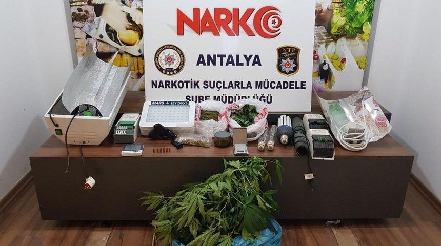 Antalya&rsquo;da İki Ayrı Uyuşturucu Operasyonunda &rsquo;i Bel&ccedil;ika Uyruklu 8 Kişi G&ouml;zaltın Alındı