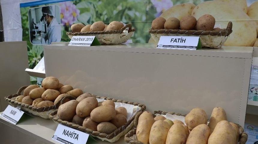 Yerli Patates &Uuml;reticiyle Buluşacak