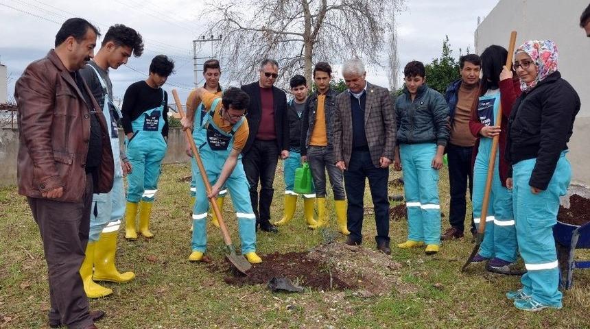 Erdemli Ziraat Odası Okulları Yeşillendiriyor