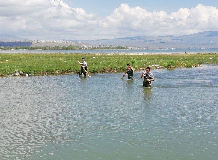 Jandarma, Kaçak Avcılıkta Kullanılan Tekneleri Yüzerek Karaya Çekti G1