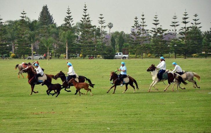Yörük Türkmenler Adana’da Cirit Attı, Gökbörü Oynadı G1