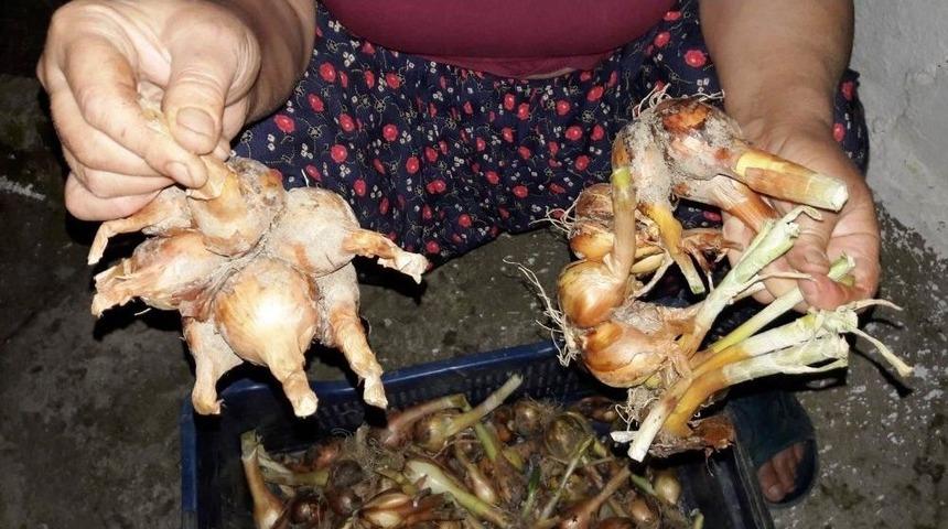 Kadın &Ccedil;ift&ccedil;inin Emeği &Ccedil;&ouml;pe Gitti