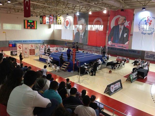 Spor Toto Türkiye Boks Ligi 7. Hafta Müsabakaları Başladı