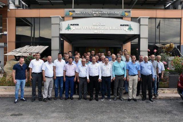 Arı Konaklama Projesi Ülke Geneline Yayılacak 1